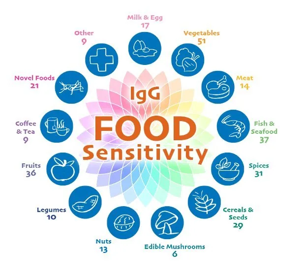 IgG food sensitivity test categories diagram