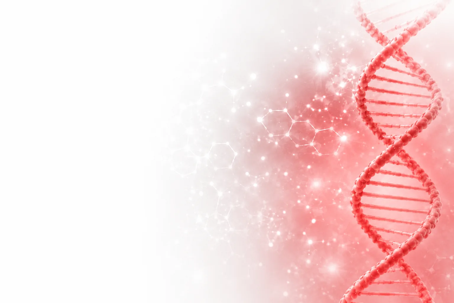 DNA helix