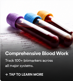 Comprehensive Blood Work
