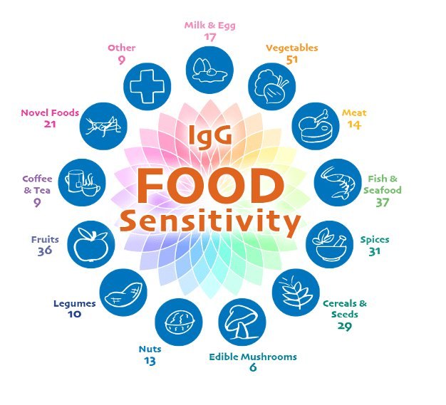 IgG food sensitivity test categories diagram