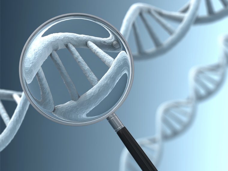 DNA double helix under a magnifying glass