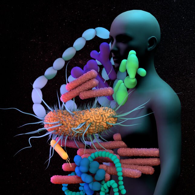Illustration of the human gut microbiome