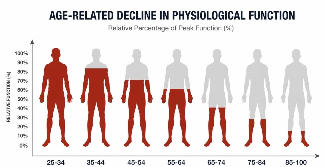 Age-related decline in physiological function by age group