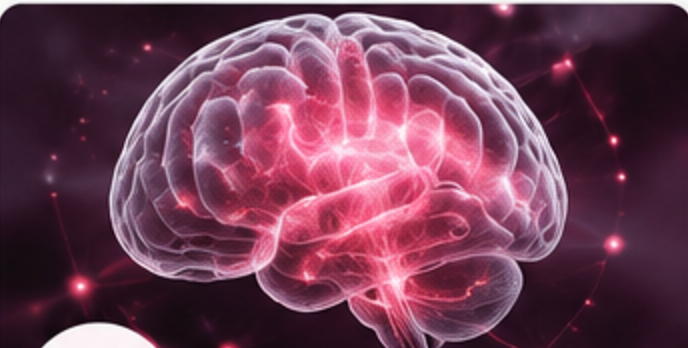 Brain